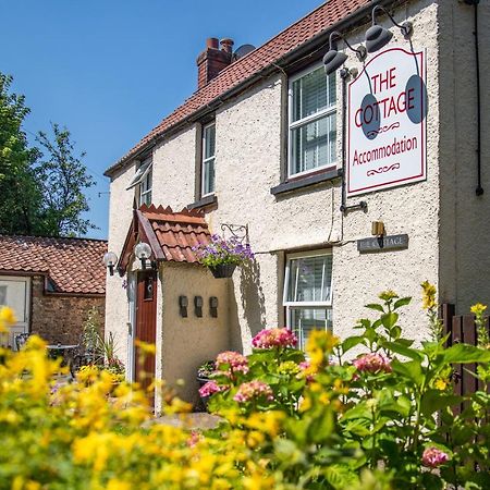 The Cottage Felton (Somerset) Exterior foto